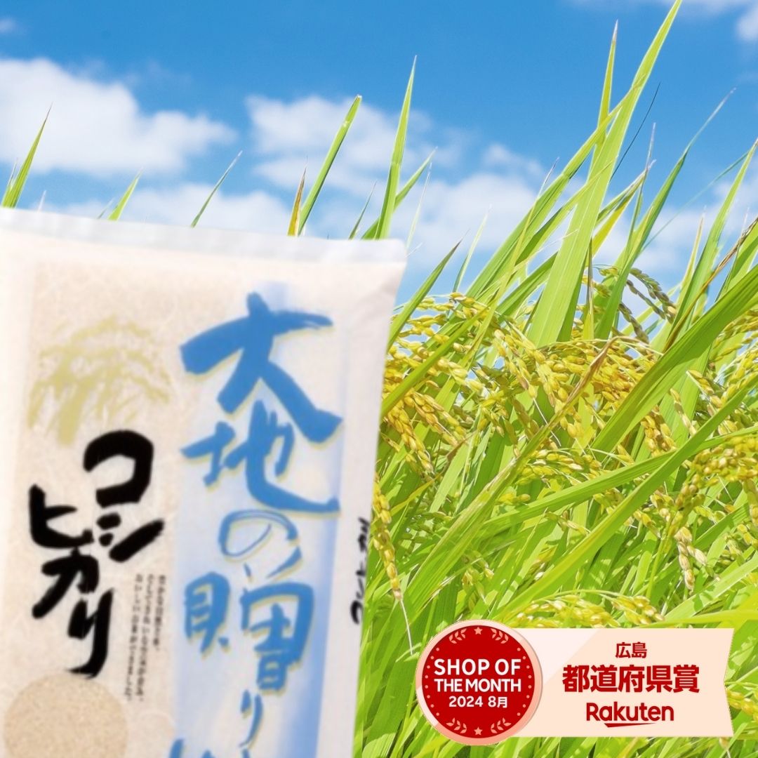 ★新米フェア! コシヒカリ最安値挑戦中 米 5kg 送料無料 こしひかり 受注精米 大地のコシヒカリ お米 5kg 送料無料 白米 お米5kg 送料無料 米5kg 送料無料 白米 5キロ 産地直送 ライスマ 備蓄用 非常用 (沖縄・離島は別途送料追加)