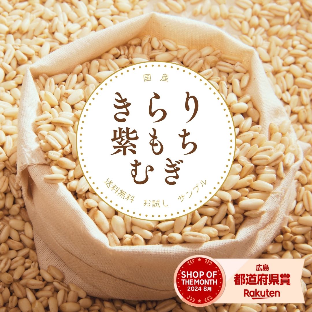 お試し送料無料 サンプル 国産もち麦 50g 紫もち麦10%配合 麦飯 βグルカン もち麦キューブ もち麦ダイ..