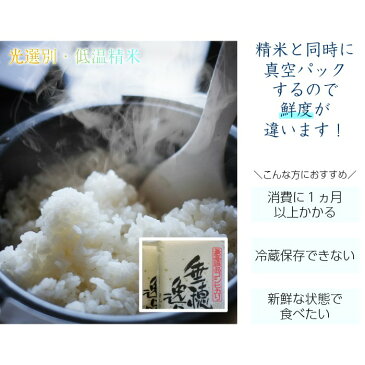 コシヒカリ 10kg 送料無料 5kg ×2袋 真空パック 長期保存包装 備蓄米 令和元年産 広島県産 こしひかり お米 10キロ お米ギフト 産地直送 のし メッセージカード【送料無料※一部地域のみ】