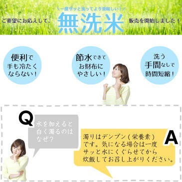 新米 無洗米 令和3年産 10kg 送料無料 こしひかり好きはお試しください! 広島県北産 あきさかり 白米10kg (5kg×2) お米 米 こめ コメ 10キロ 米10kg 送料無料 産直米