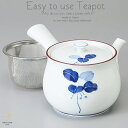 和食器 美味しい お茶 有田焼 まんりょう 茶漉し付 特大 急須 ティーポット 茶器 食器 緑茶 紅茶 ハーブティー おうち うつわ 陶器 日本製