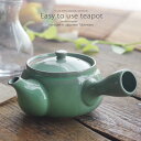 和食器 はじめての美味しい お茶 緑水苑 茶漉し付 急須 ティーポット 茶器 食器 緑茶 紅茶 ハーブティー おうち うつわ 陶器 日本製 美濃焼