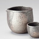 和食器 窯変注器 信楽焼 酒器 日本酒 おうち 父の日 おしゃれ うつわ 陶器 軽井沢 春日井 ※ぐい飲みは別売りです