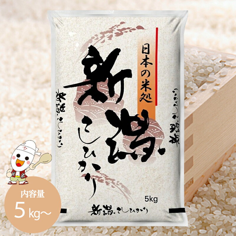 【限定SALE 7,280→6,980円】令和7年 新潟県産 コシヒカリ 10kg （5kg×2個）お米 米...