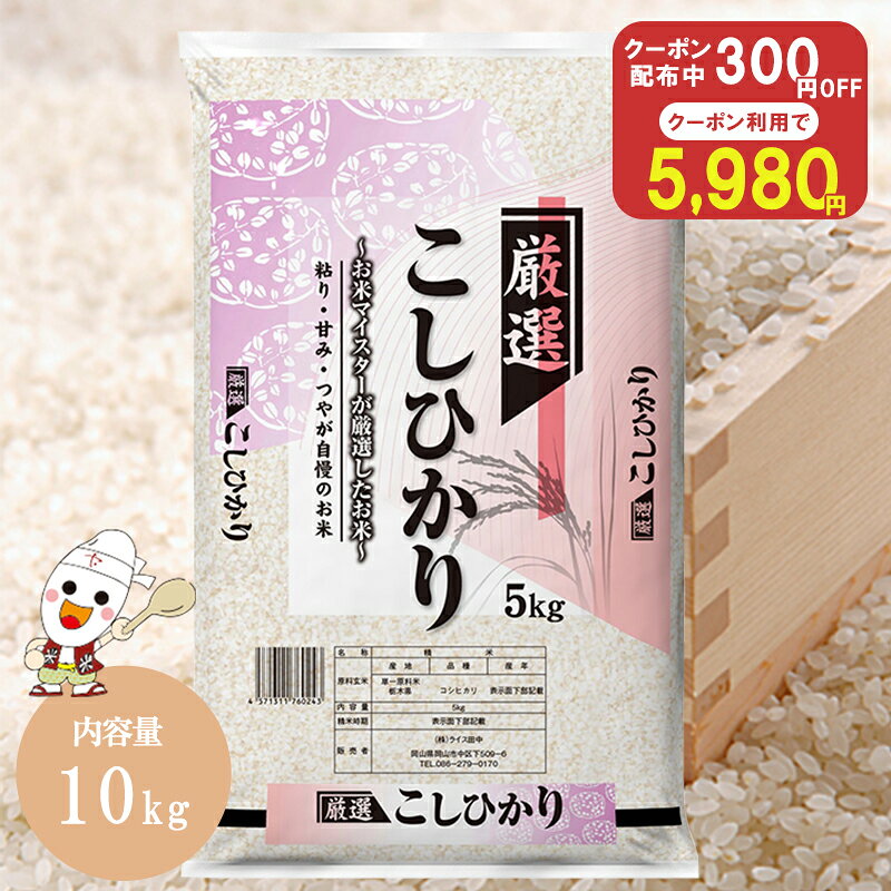 令和7年 産地厳選 コシヒカリ 10kg お米 米 送料無料 白米 10キロ
