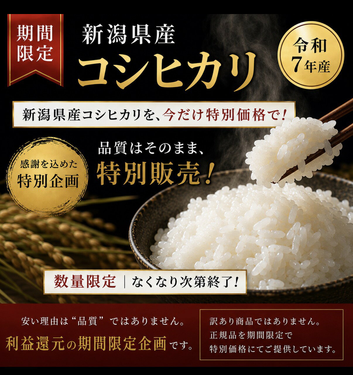 サンプル画像3