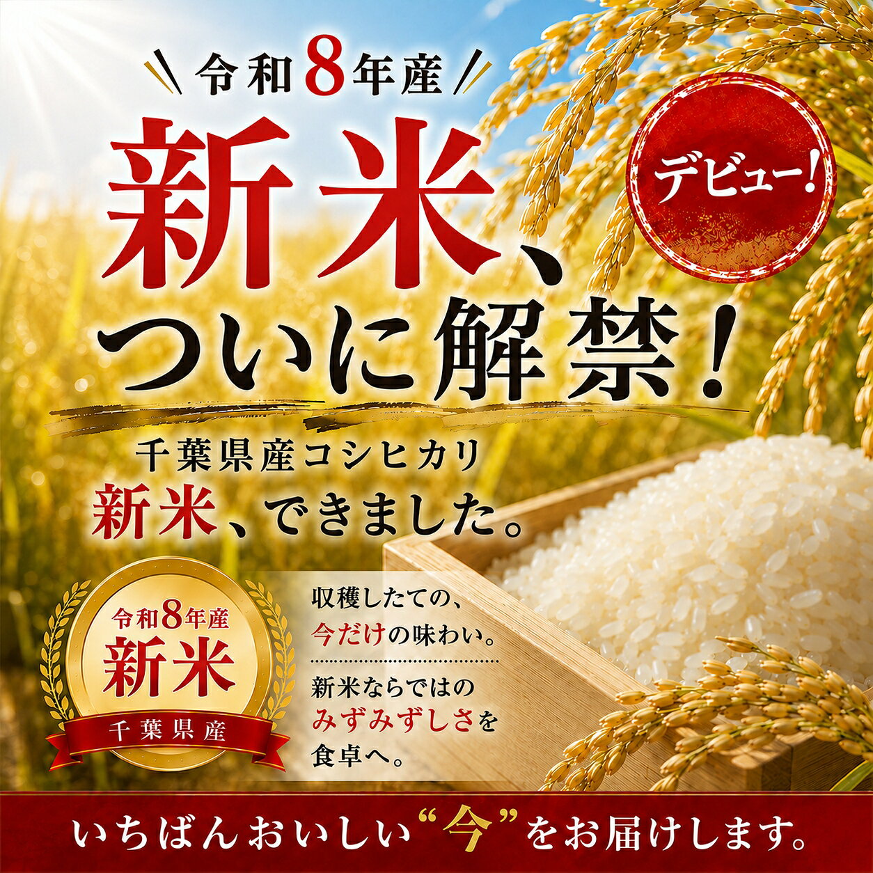 【 令和8年産 新米 】 産地厳選 コシヒカリ 5kg / 10kg（5kg×2個）お米 米 送料無料 白米 ricetanaka-10000064 こめた 楽天市場店 サンプル画像2