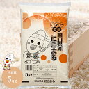 令和6年 岡山県産 にこまる 5kg お米 送料無料 こめた監修 ※お一人様2点限り