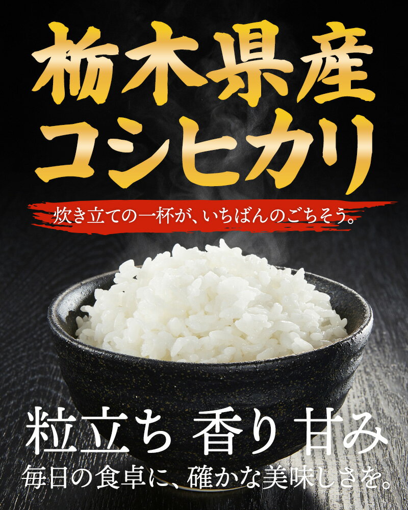 令和7年 産地厳選 コシヒカリ 10kg お米 送料無料 白米（2枚目）