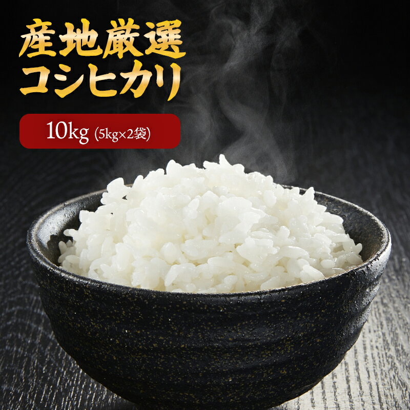 令和7年 産地厳選 コシヒカリ 10kg （5kg×2個）お米 送料無料 白米 備蓄 用