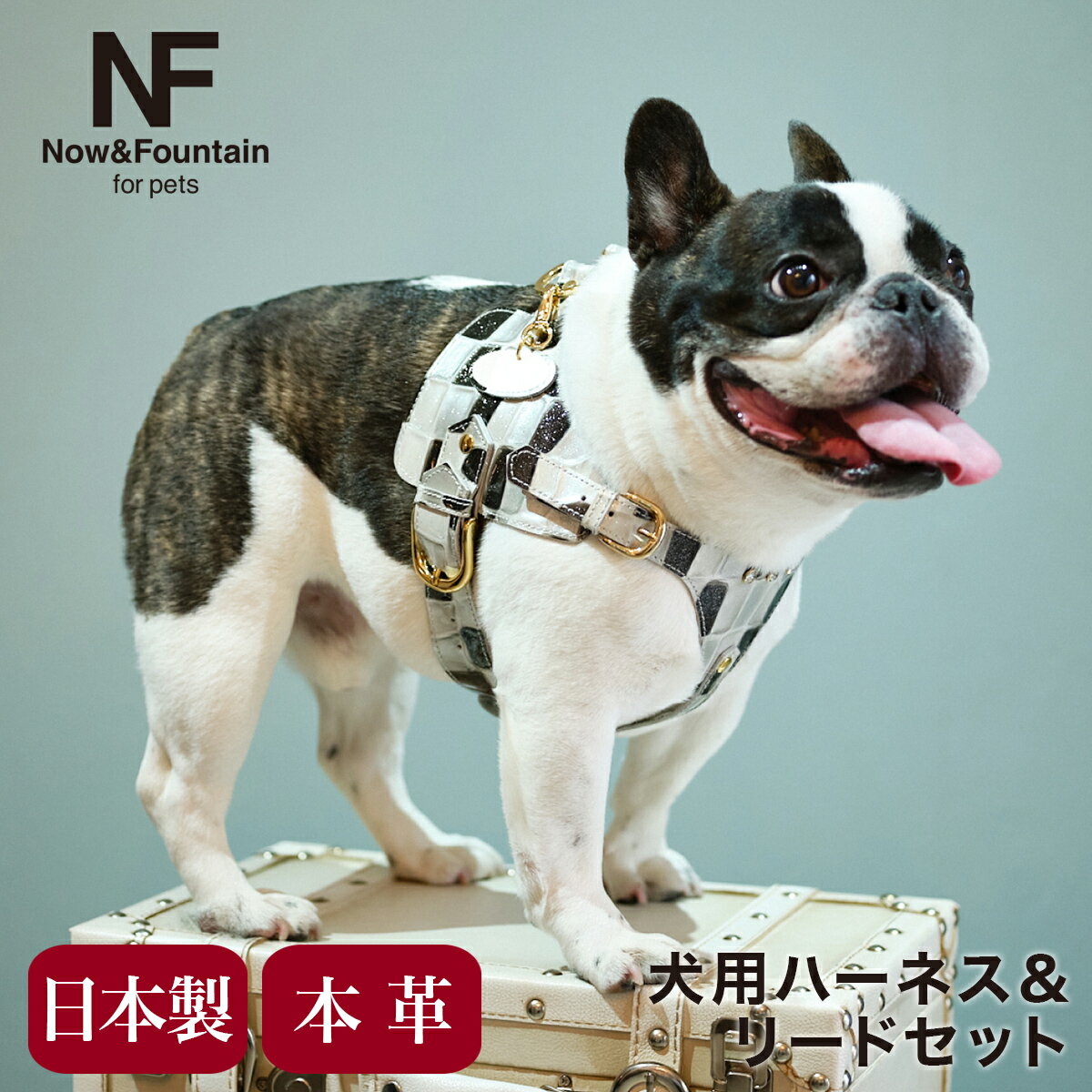 ̥ɥ ڥå ϡͥ꡼ɥå  ϡͥ ܥǥ٥ ꡼  쥶 ܳ  NF for pets TYPE-A 奨꡼   ڥå եå ƹ  ڥåȥå[¨ȯ]