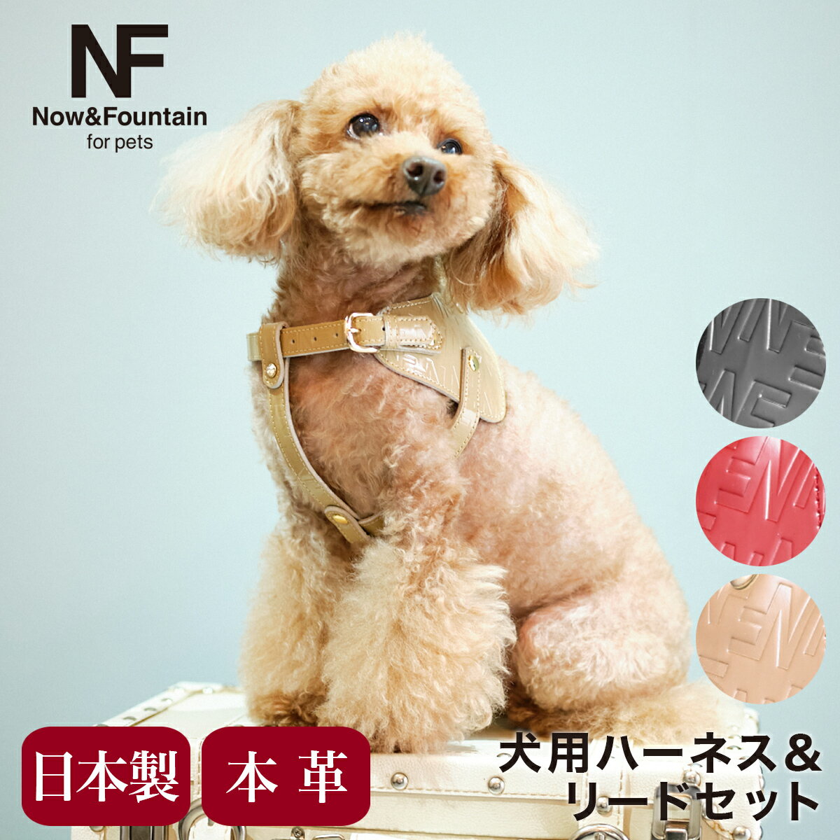 ̥ɥ ڥå ϡͥ꡼ɥå  ϡͥ ܥǥ٥ ꡼  쥶 ܳ  NF for pets TYPE-B 奨꡼ܥ   ڥå եå[¨ȯ]