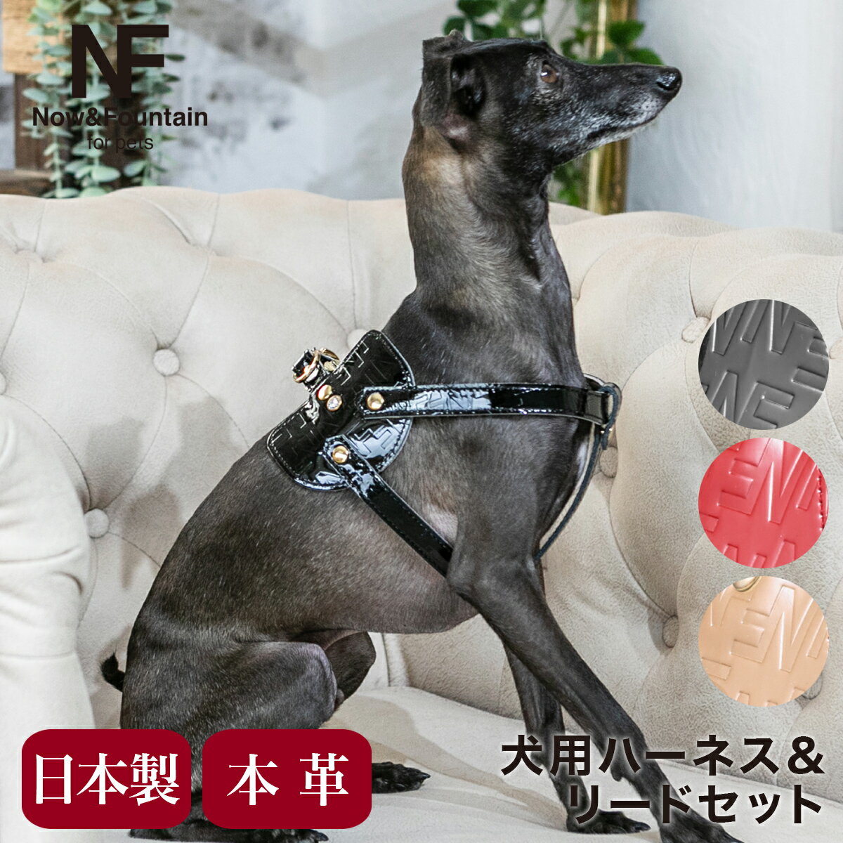 ̥ɥ ڥå ϡͥ꡼ɥå  ϡͥ ܥǥ٥ ꡼  쥶 ܳ  NF for pets TYPE-C 奨꡼ܥ   ڥå եå[¨ȯ]