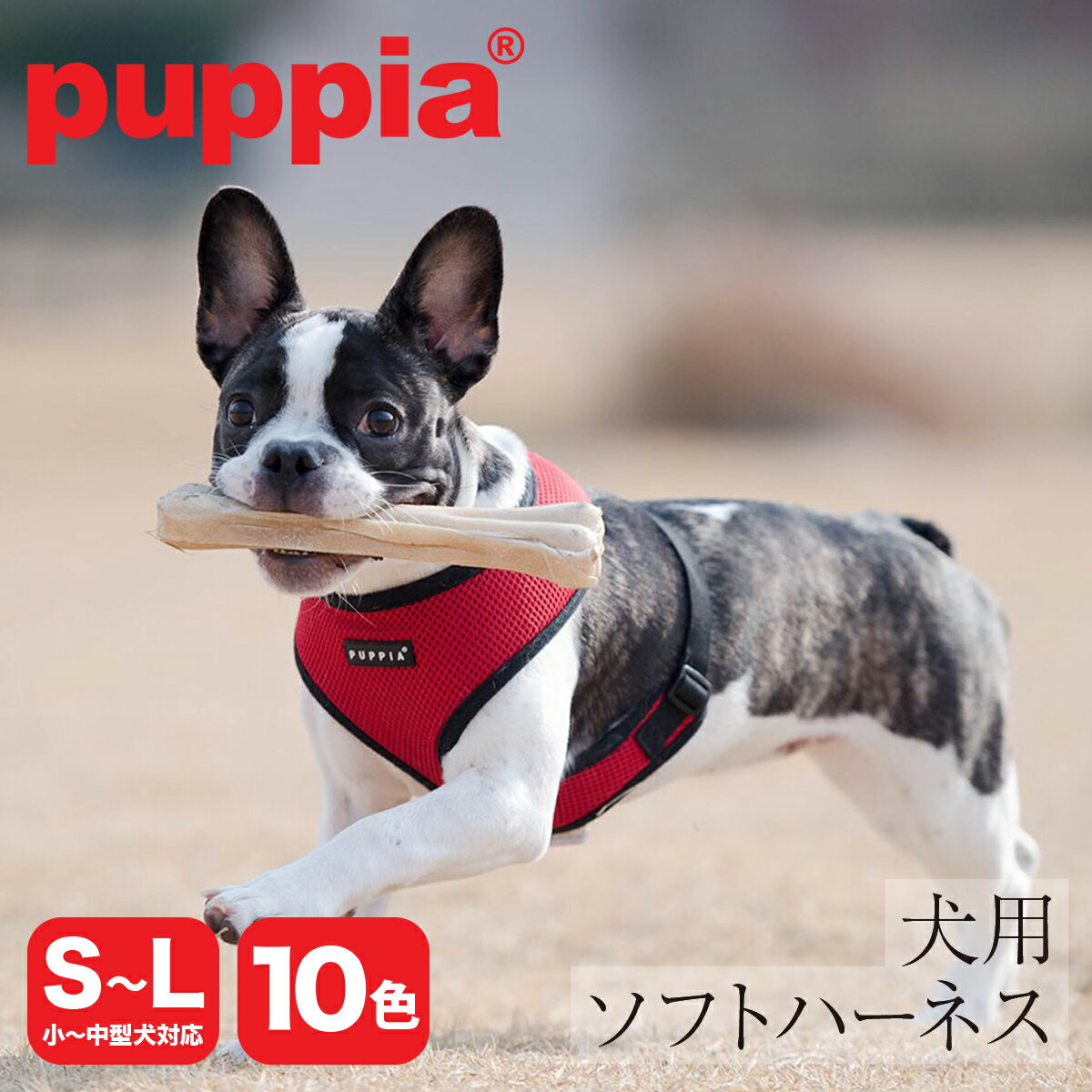 パピア ハーネス ベスト型 犬用 ソフトハーネス ベストハーネス PUPPIA SOFT HARNESS ソフトベストハーネス 小型犬 中型犬 ペット 犬 メッシュ 胴輪 犬用品 ペットグッズ 21539-27001 PDCF-AC30 PO10 即日発送