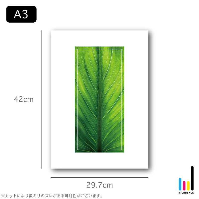 GREEN アート プリント ポスター [ A3 ]シンプル 自然 写真 フレーム ミニマル ナチュラル デザイナーズ インテリアグリーン フェイクグリーン インテリアアート 観葉植物 カフェ 店内装飾おしゃれ モダン 男前インテリア [3]