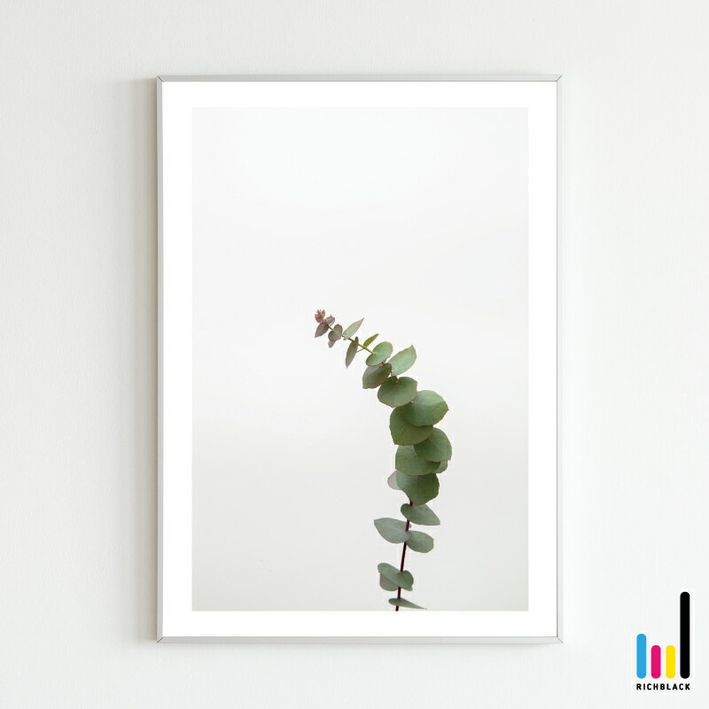 ユーカリ プリント ポスター [ A1 ]北欧 北欧風 北欧インテリア 北欧テイスト 雑貨 ドライフラワー シンプル 自然 写真 フレーム ナチュラル デザイナーズ フェイクグリーン インテリアアート 観葉植物 植物 かわいい おしゃれ