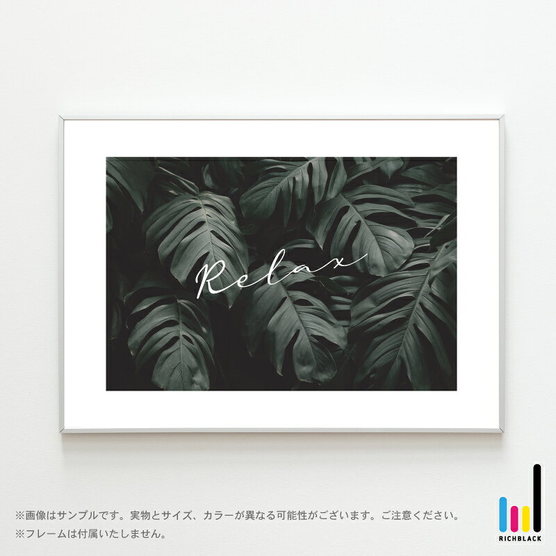 Relax 写真 プリント ポスター [ A3 ]インテリア 雑貨 モノクロ モノトーン 白黒 シンプル 自然 大判 フレーム ナチュラル インテリアアート 観葉植物 壁掛け 植物 おしゃれ 新生活 男前インテリア [2]