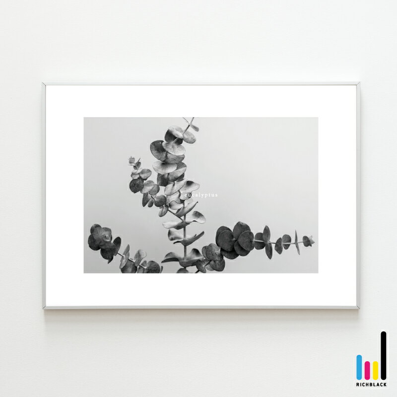 ユーカリ モノトーン プリント ポスター [ A2 ]北欧 北欧風 北欧インテリア 北欧テイスト ポポラス 玄関 トイレ 雑貨 モノクロ 白黒 ドライフラワー シンプル 写真 フレーム ナチュラル カフェ インテリア アート 観葉植物 モダン ミニマル おしゃれ 大きい 特大