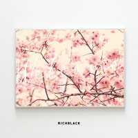桜 ポスター Welcome A4春 ピンク サクラ お花 フラワー 写真 ウェルカムボード 韓国 韓国風 北欧 北欧テイスト 英語 玄関 タイポグラフィー ナチュラル シンプル フレーム カフェ 店舗装飾 インテリア おしゃれ かわいい