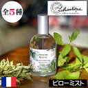 LOTHANTIQUE(ロタンティック)ジャルダンダクアレール【ピローミスト】フランス製 自然素材 天然 環境 ボタニカル プロヴァンス ヨーロッパ 海外 イン...