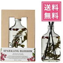 楽天リッチキャンドル 楽天市場店BOTANICAL BOTTLES（ボタニカルボトルズ） リードディフューザー180ml【スパークリングブロッサム】ルームフレグランス スティックタイプ 置くだけ 置き型 玄関 リビング 寝室 お洒落 オシャレ おしゃれ ガラスボトル お酒 瓶プレゼント ギフト 贈り物 女性 男性