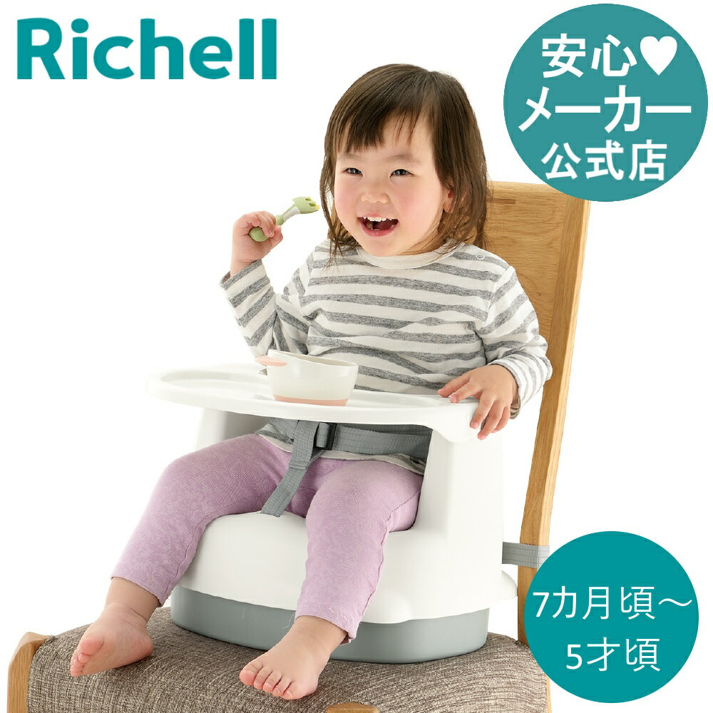 【公式】2WAYごきげんチェアKNリッチェル Richell