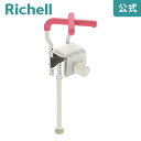 浴そう手すりX ユニットバス130Hリッチェル Richell 介護 風呂 浴室 浴槽 手 摺 すり ユニバーサルデザイン 老人用 大人