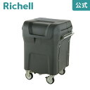 【先着!全品最大30%OFFクーポン 4日20時~】【公式直営】キャリングカートN 320HBリッチェル Richell ダスト ボックス ごみ ゴミ 箱 大型 業務用 集積箱 ステーション 運搬台車 屋外用 キャスター おしゃれ 業務用