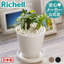 【LINEお友達登録限定15%OFFクーポン29日〜】【公式直営】エコマルチ 250gリッチェル Richell マルチング 材 鉢植え 園芸用土 ガーデニング...