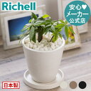 4/24-27限定★最大100%ポイントバックエコマルチ 250gリッチェル Richell マルチング 材 鉢植え 園芸用土 ガーデニング 用品 プラスチック 日本製 国産