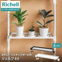 【LINE友達登録限定15%OFFクーポン 6/29~】【公式直営】ボタニー ハンギングポール用シェルフ 60リッチェル 園芸 ガーデン ガーデニング 観葉植物 花 吊下げ おしゃれ インテリア 棚 屋内 室内 インドアグリーン フラワーバスケット 吊鉢 追加部材 部品 パーツ