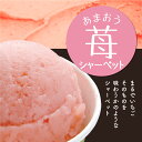 【公式】 ふくち★リッチジェラート あまおう苺シャーベット6