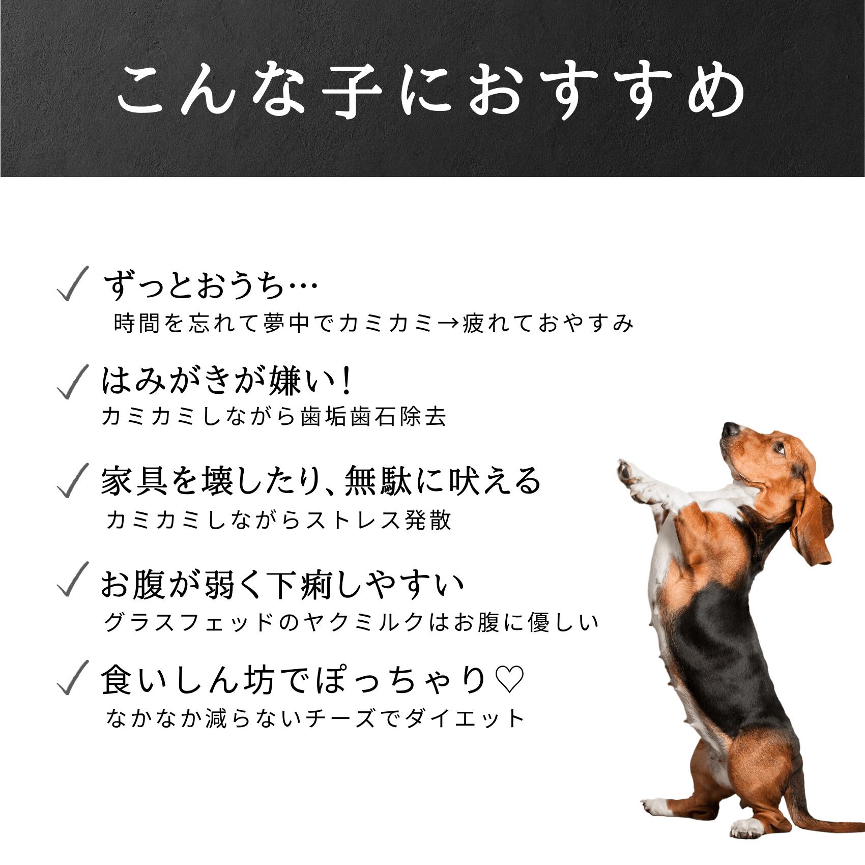 LAMAKENO ●超希少ヤクミルクのみ牛乳不使用● 中型犬用 M3本ラマ家のヤクミルクチーズ ヤクミルク100% 約60-80g 約11-13.5cm ネパール産ヒマラヤンチーズ ハードタイプ はみがき効果 硬くて長持ち おいしくダイエット ストレス発散 健康サポート 季節限定 3