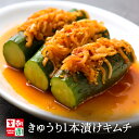 きゅうりキムチ オイキムチ 一本漬け 国産 [500g～1kg] 韓国食品 韓国料理 韓国 【李朝園】