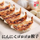 にんにくゴロゴロ餃子 冷凍  餃子 焼き餃子 韓国食品 韓国料理 韓国 