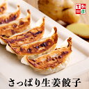 にんにくフリーの爽やかな旨み！ 生姜を効かせたさわやかな餃子。 土生姜を使用し、生姜の香りと旨みを閉じ込めました。 にんにくフリーでにおいが気になる日にも大丈夫！ 女性受け抜群の味わいです。 タレなしでも美味しくお召し上がりいただけます！