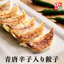 青唐辛子入り辛餃子 冷凍 [23g*10個～