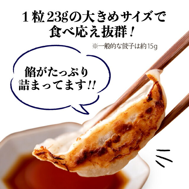 にんにくゴロゴロ餃子 冷凍 [23g*20個〜80個] 餃子 焼き餃子 韓国食品 韓国料理 韓国 【李朝園】