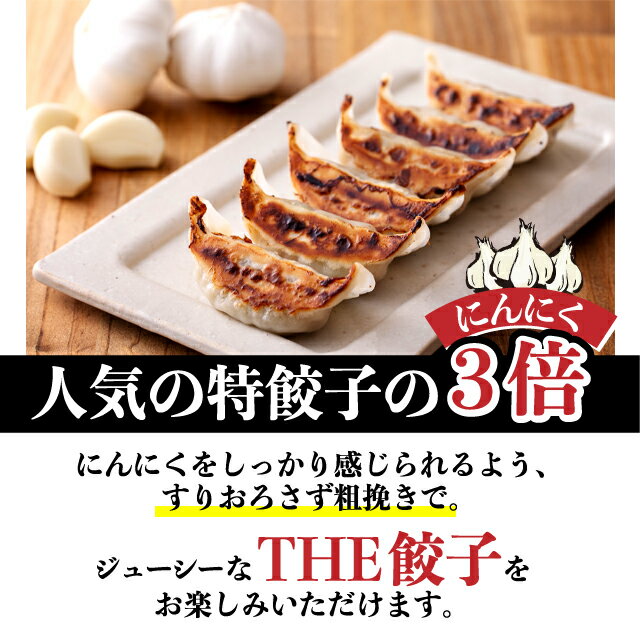 にんにくゴロゴロ餃子 冷凍 [23g*20個〜80個] 餃子 焼き餃子 韓国食品 韓国料理 韓国 【李朝園】