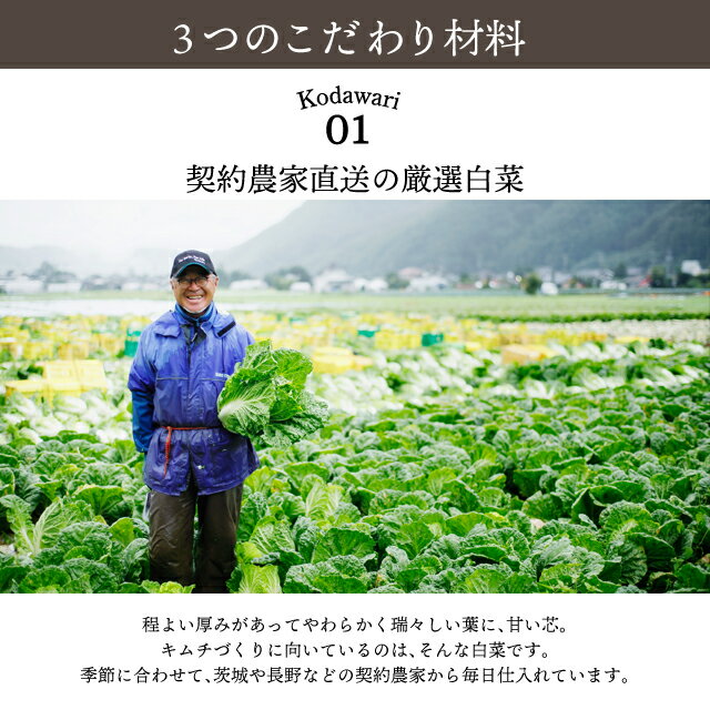 李朝園『無添加白菜キムチ』