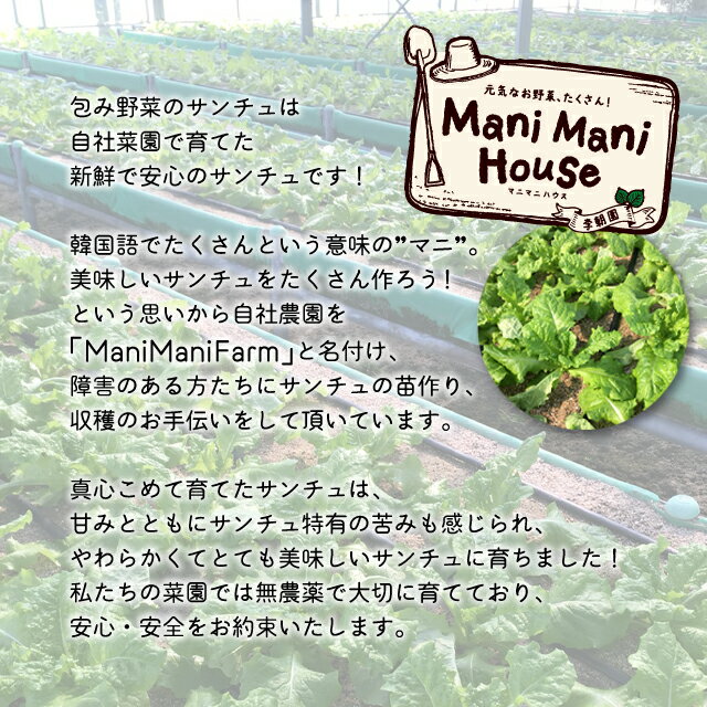 豚バラ肉800gと味付けチュクミ 包み野菜 キムチ 薬味付き サムギョプサル満喫セット 韓国食品 韓国 韓国料理 焼肉 ミールキット 商品追加値下げ在庫復活 お取り寄せ ミールセット 豚バラ肉800gと味付けチュクミ 包み野菜 キムチ 薬味付き サムギョプサル満喫セット 韓国食品 韓国 韓国料理 焼肉 ミールキット 商品追加値下げ在庫復活 お取り寄せ ミールセット