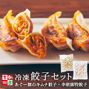 【送料無料】 餃子セット 肉餃子 キムチ餃子 冷凍 48