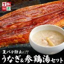 【9/4 20:00~9/11 1:59 エントリー&買い回りでポイント最大10倍】【送料無料】 うなぎ&参鶏湯セット 【李朝園】