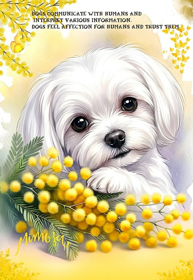 新入荷 オリジナル 生地 マルチーズ ブロックデザイン ハンドメイド素材 クラフト パネル生地 ミモザ