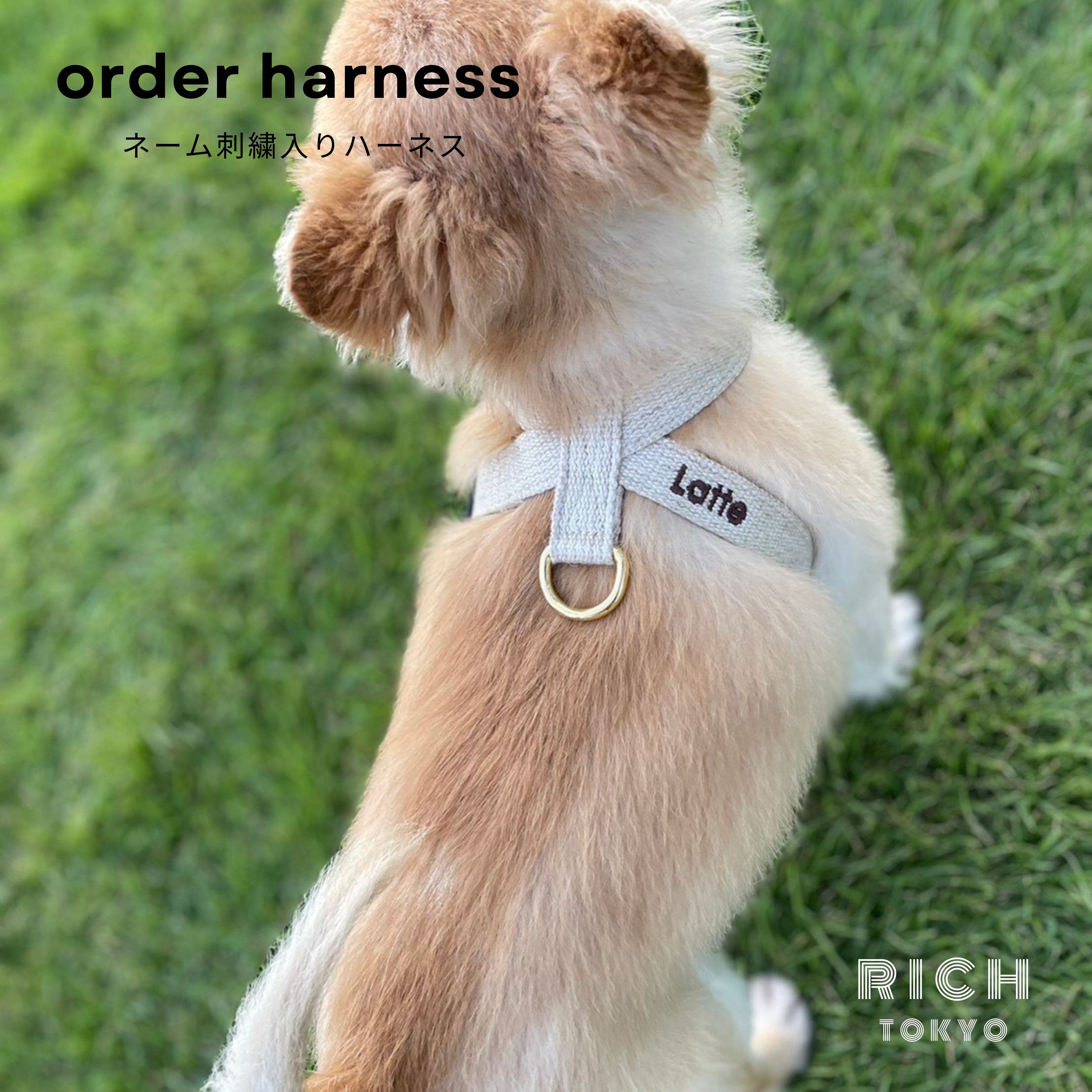 �ڥ͡���ɽ�����۸� �ϡ��ͥ� ̾�� ȴ���ˤ��� ������� ���������ᥤ�� ̾���� ̾������ �͡��� ������ ȴ���ʤ� ������ ��������̵�� ������ �淿�� ��...