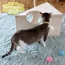 【お買い物マラソン期間中 P10倍】猫 おもちゃ 木製 桐 ハウス 一人遊び チーズハウス 猫ハウス キャットハウス ねこハウス チーズボックス ナチュラル 小...
