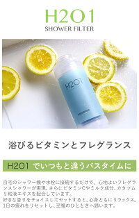H2O1SHOWERFILTER(エイチツーオーワンシャワーフィルター)【送料無料】【沖縄・北海道・離島別途送料】ビタミン/アロマ/ビタミンC/シャワーヘッド/シャワーフィルター/アロマテラピー/ダメージケア/ミルクパウダー/カタツムリ/リラックス