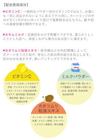 H2O1SHOWERFILTER(エイチツーオーワンシャワーフィルター)【送料無料】【沖縄・北海道・離島別途送料】ビタミン/アロマ/ビタミンC/シャワーヘッド/シャワーフィルター/アロマテラピー/ダメージケア/ミルクパウダー/カタツムリ/リラックス
