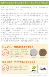 H2O1SHOWERFILTER(エイチツーオーワンシャワーフィルター)【送料無料】【沖縄・北海道・離島別途送料】ビタミン/アロマ/ビタミンC/シャワーヘッド/シャワーフィルター/アロマテラピー/ダメージケア/ミルクパウダー/カタツムリ/リラックス