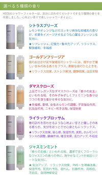 H2O1SHOWERFILTER(エイチツーオーワンシャワーフィルター)【送料無料】【沖縄・北海道・離島別途送料】ビタミン/アロマ/ビタミンC/シャワーヘッド/シャワーフィルター/アロマテラピー/ダメージケア/ミルクパウダー/カタツムリ/リラックス